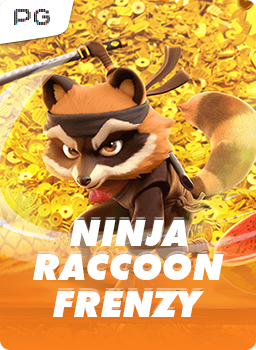 Ninja Raccoon Frenzy