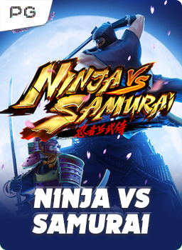 Ninja Vs Samurai