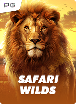 Safari Wilds